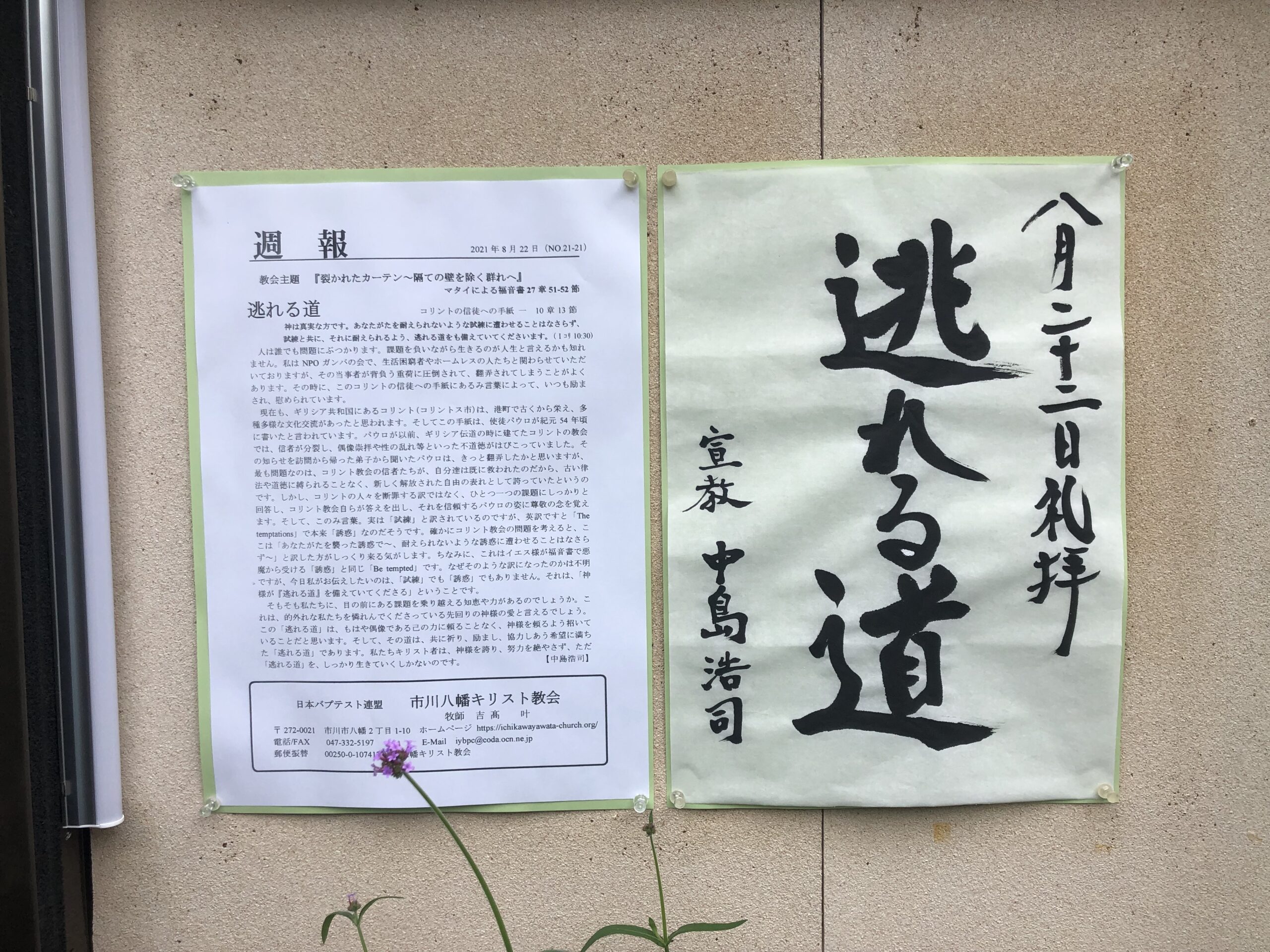 2021年8月22日礼拝 逃れる道 市川八幡キリスト教会 生活困窮者支援 ホームレス支援 ガンバの会